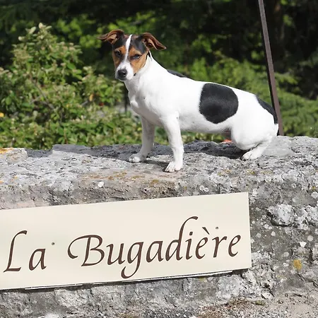Maison d'hôtes La Bugadière *